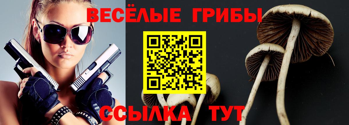 Галлюциногенные грибы GOLDEN TEACHER  Вход с VPN  Псилоцибиновые грибы Psilocybine cubensis  Усолье-Сибирское 