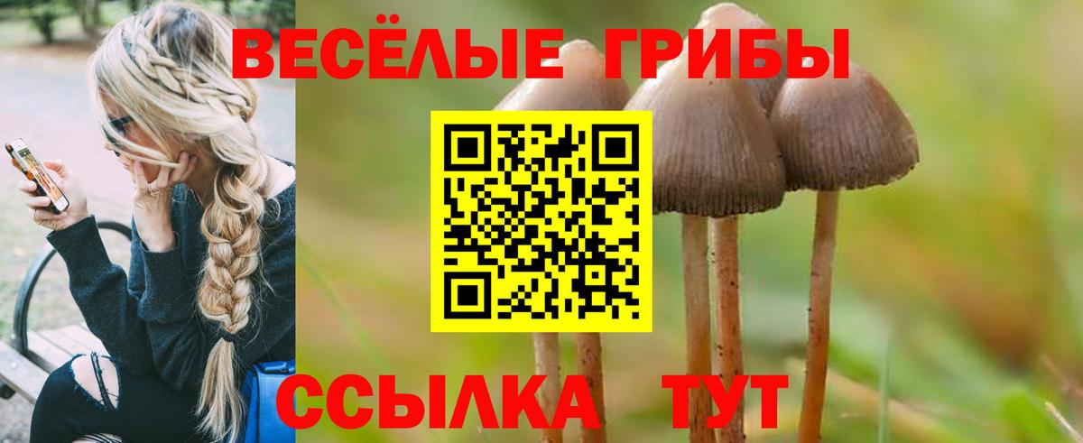 Псилоцибиновые грибы Magic Shrooms Усолье-Сибирское